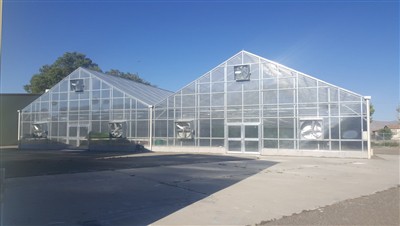 Analysis of factors that shorten the service life of daylighting panels